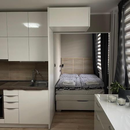 Studio Prosek براغ المظهر الخارجي الصورة